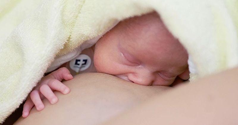 Inisiasi Menyusui Dini (IMD) bayi